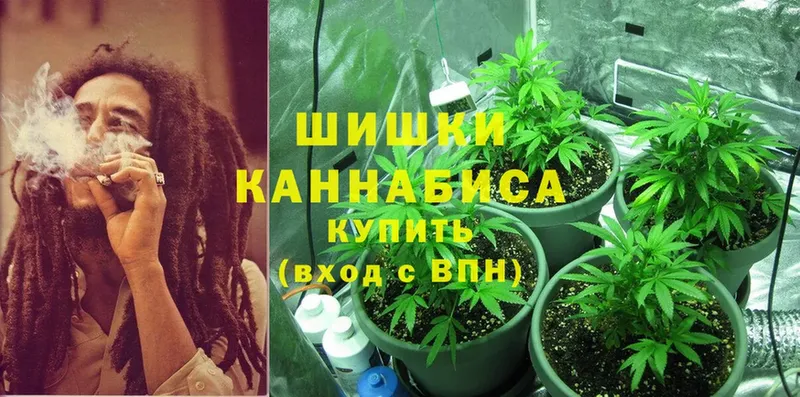 Канабис SATIVA & INDICA  Амурск 